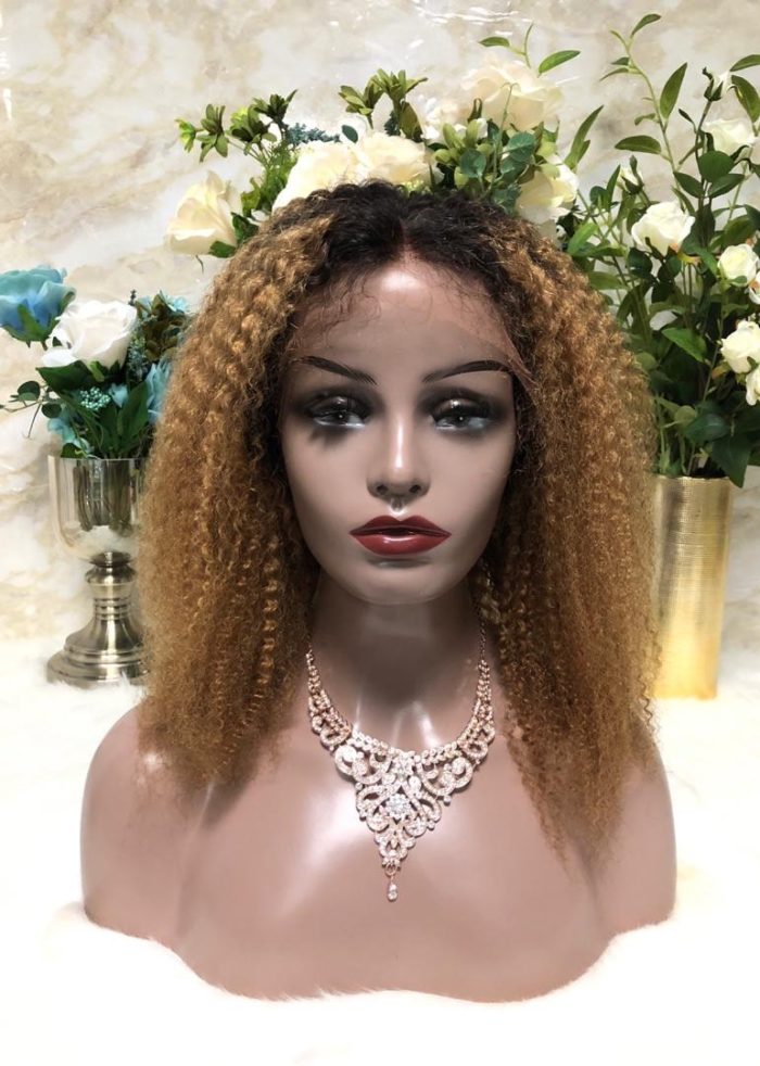 Kinky Curl Wig (HerHalo Wig Collection)